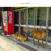 Vainio & Vigroux - Peau Froide, Le\u0301ger Soleil - AES007CD