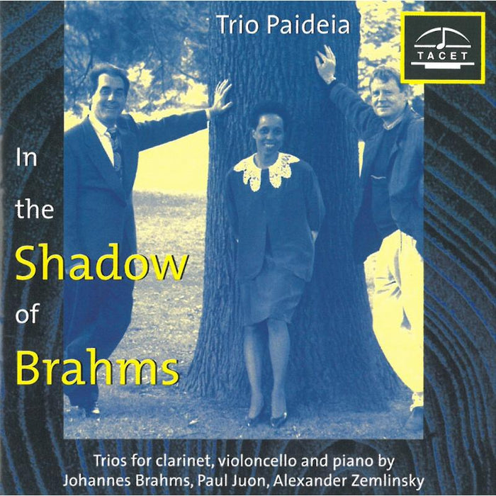 Trio Paideia - Im Schatten Von Brahms Vol. 1 - TACET058