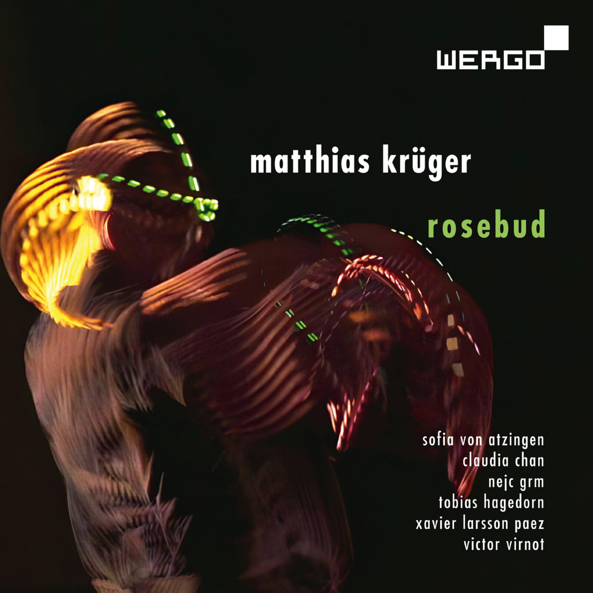 Tobias Hagedorn; Claudia Chan; Xavier Larsson Paez; Sofia von Atzingen; Nejc Grm; Victor Virnot; Matthias Kruger - Matthias Kruger: Rosebud - WER74182