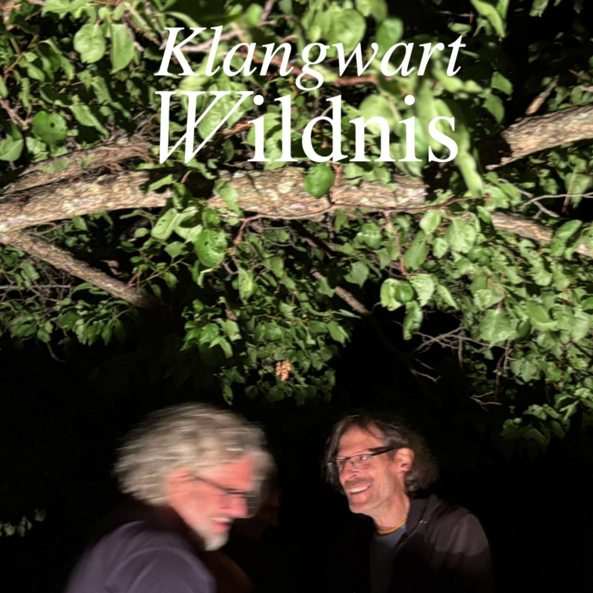 Klangwart - Wildnis - STAUB175