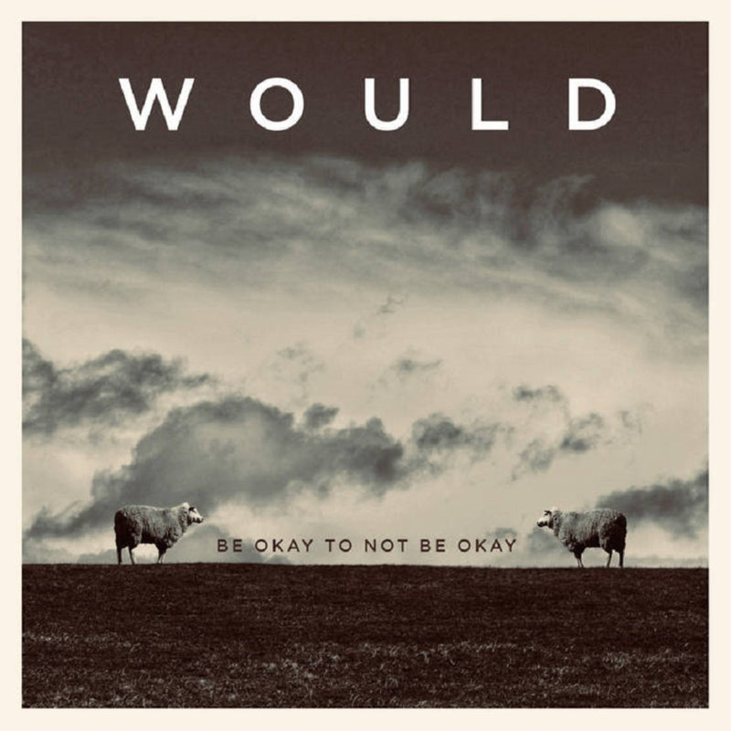 Would - Be Okay To Not Be Okay - DDUCK106LP