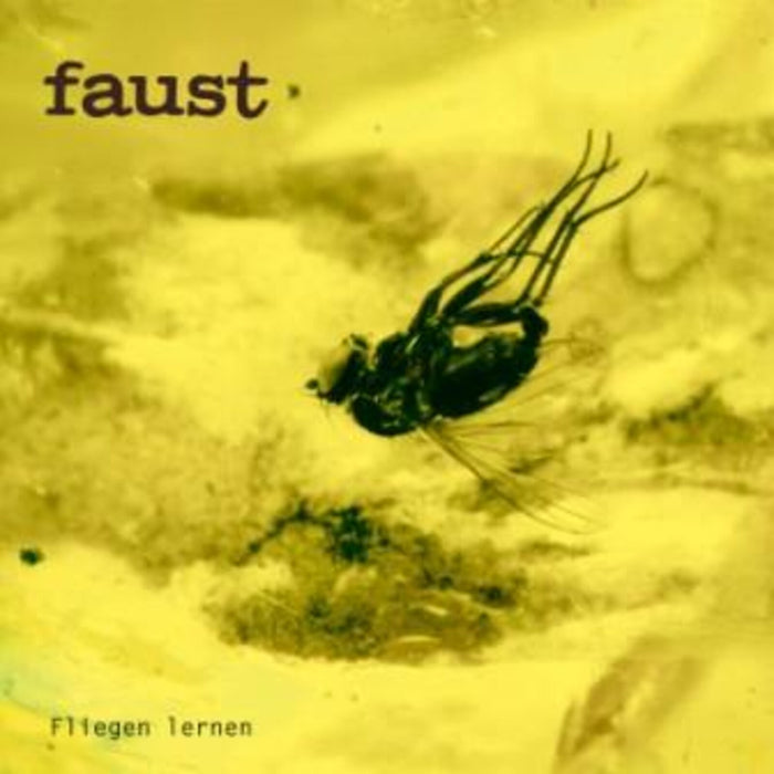Faust - Fliegen Lernen (Curated by Gunther Wusthoff) - BB455