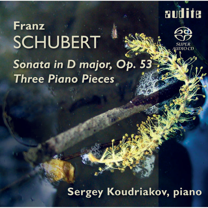 Sergei Koudriakov - Schubert: Piano Sonata Op.53, Three Piano Pieces - AUDITE92546