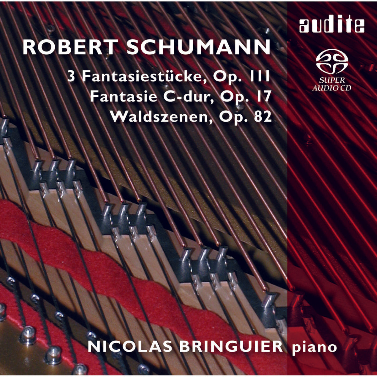 Nicolas Bringuier - Schumann: Piano Works - AUDITE92563