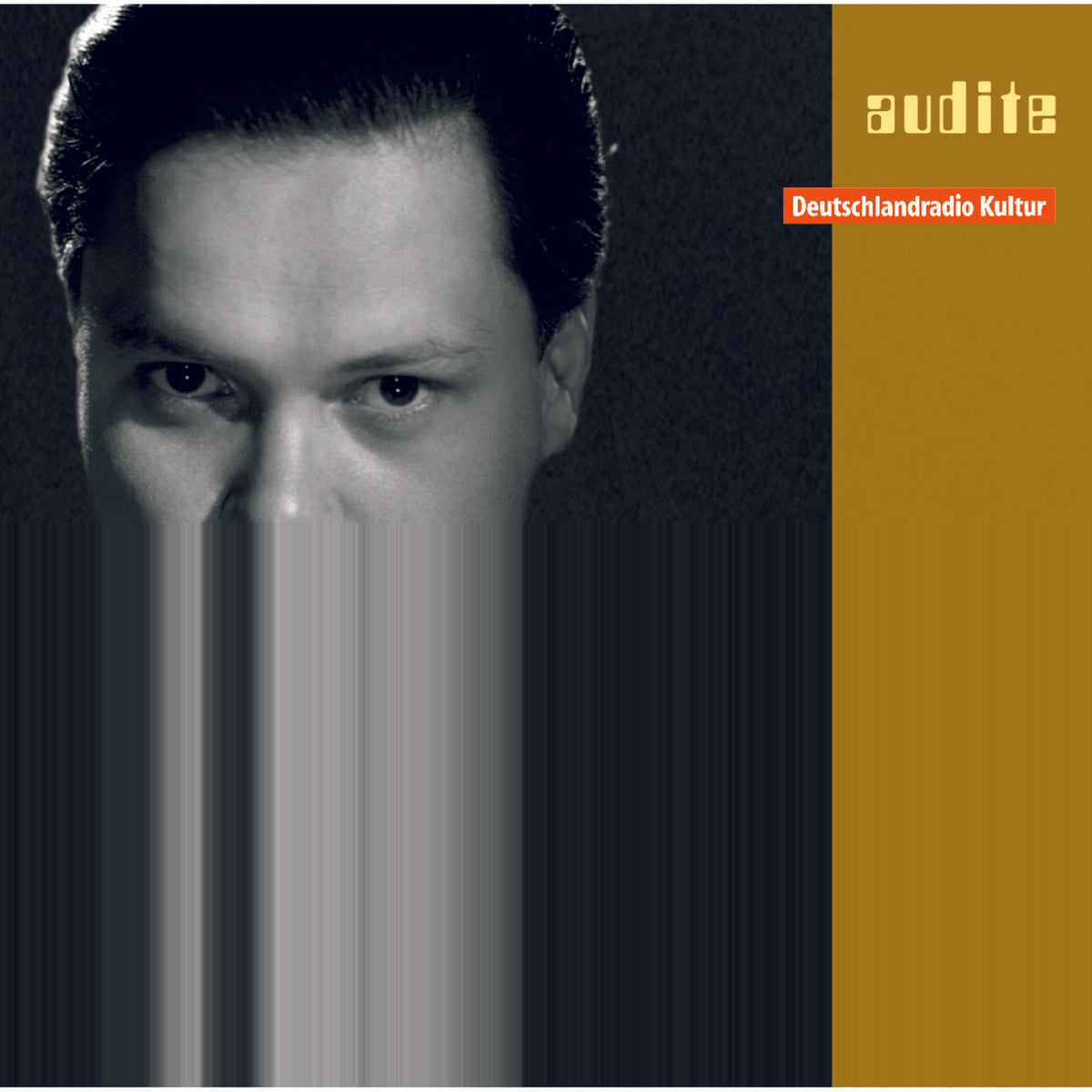 Dietrich Fischer-Dieskau; Klaus Billing - Schubert: Die Winterreise - AUDITE95597