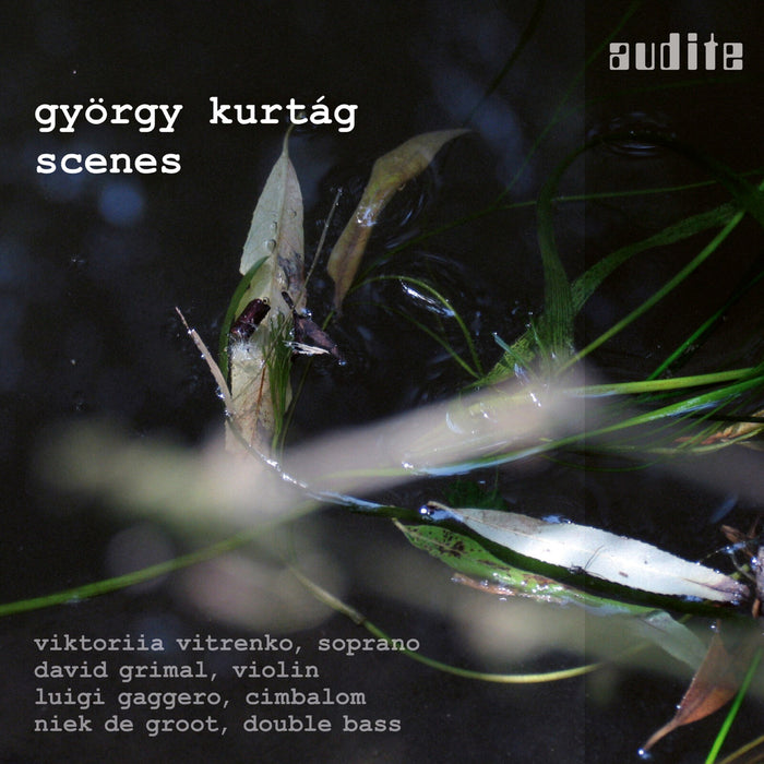 Viktorlia Vitrenko; David Grimal - Kurtag - Scenes - AUDITE97762