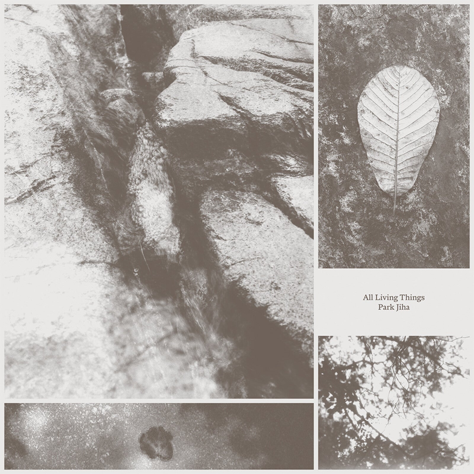 卸売 Things Living All Jiha: Park – Music Proper 絵画