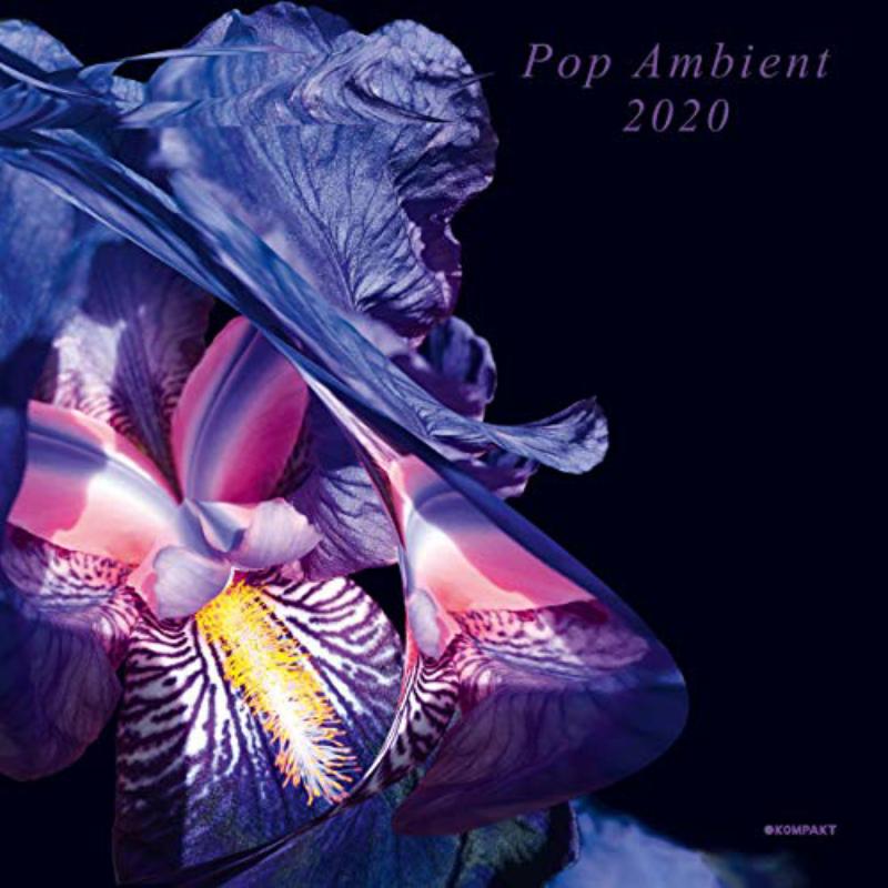 Various Artists - Pop Ambient 2020 - KOMPAKT410