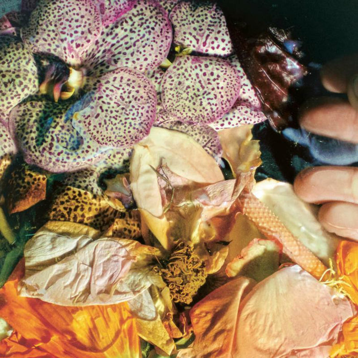 Soela - Genuine Silk - DIALLP43