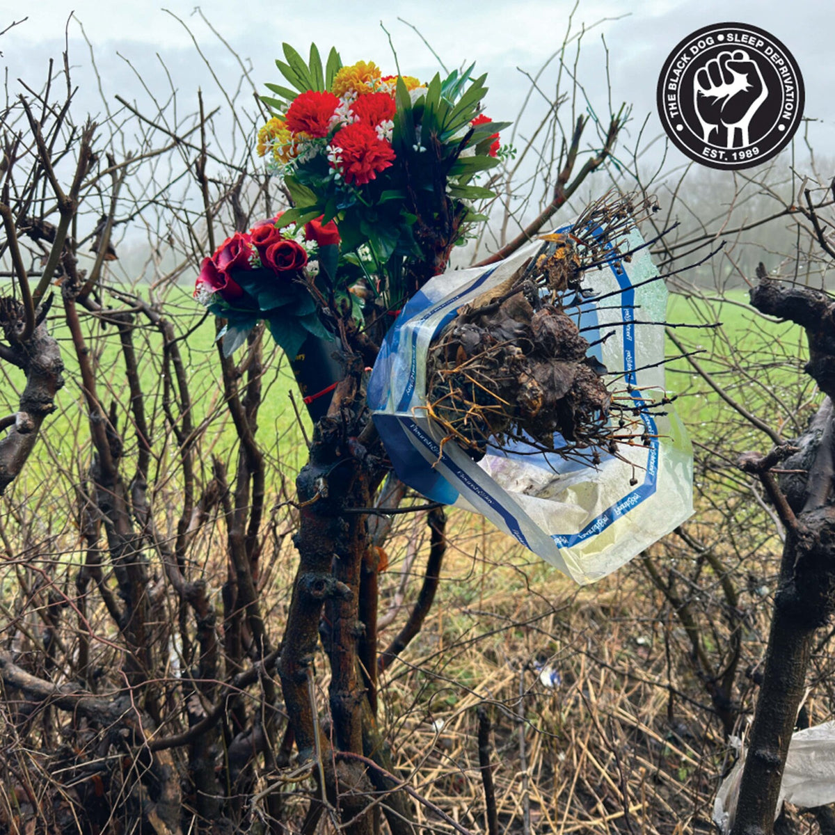 THE BLACK DOG - SLEEP DEPRIVATION - DUSTCD126