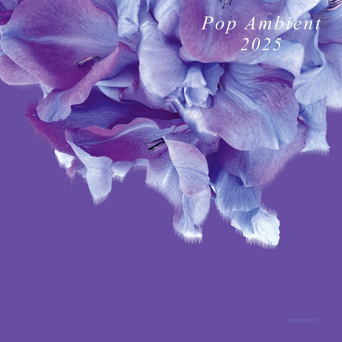 VARIOUS ARTISTS - POP AMBIENT 2025 - KOMPAKTCD185