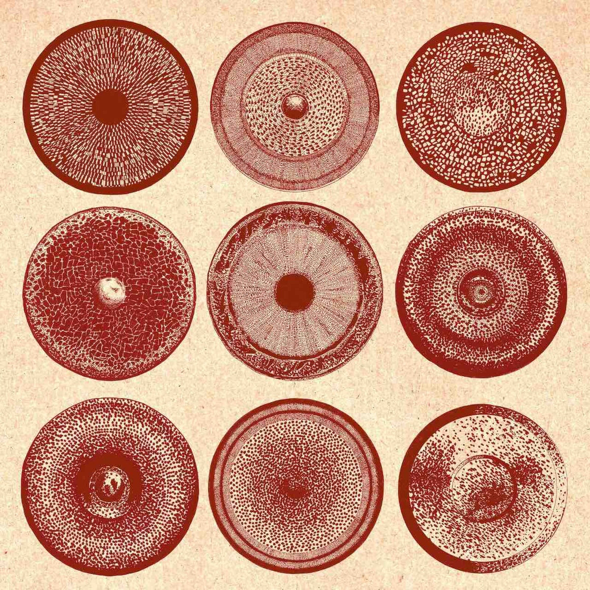 ENSEMBLE NIST-NAH - SPILLA - BLACKTRUFFLE130CD