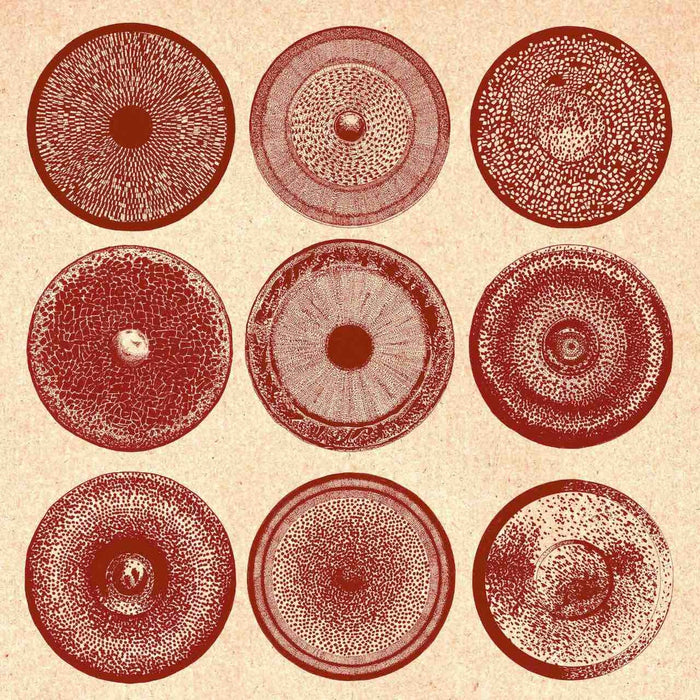 ENSEMBLE NIST-NAH - SPILLA - BLACKTRUFFLE130CD