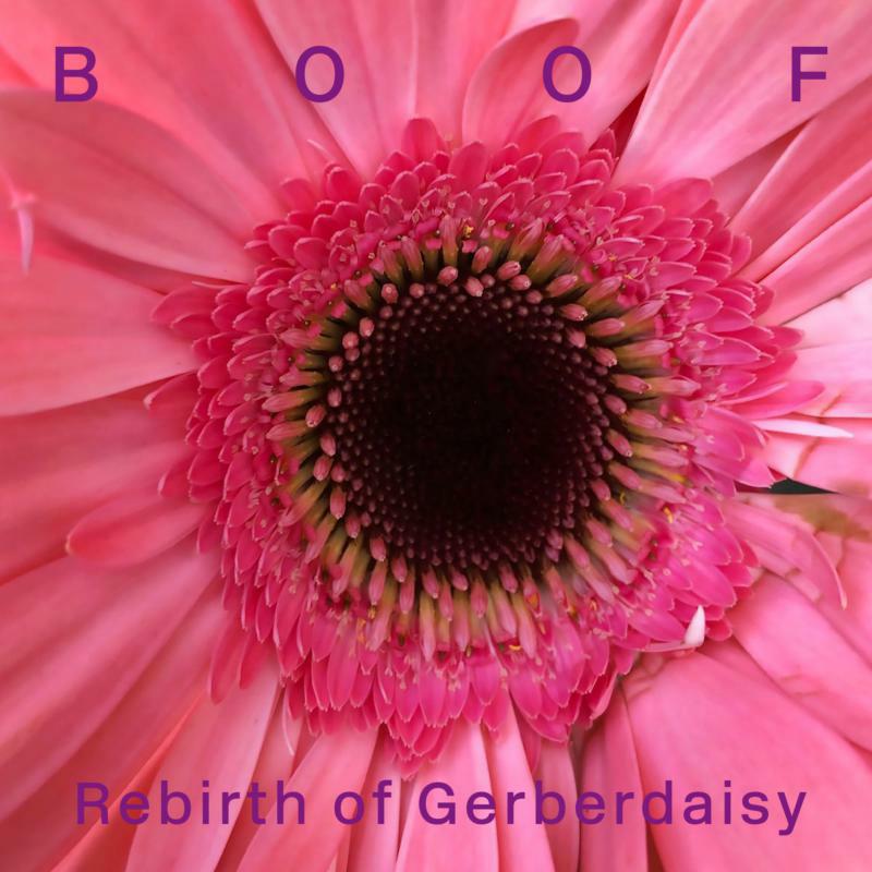 Boof - Rebirth of Gerberdaisy - RBBTLP3