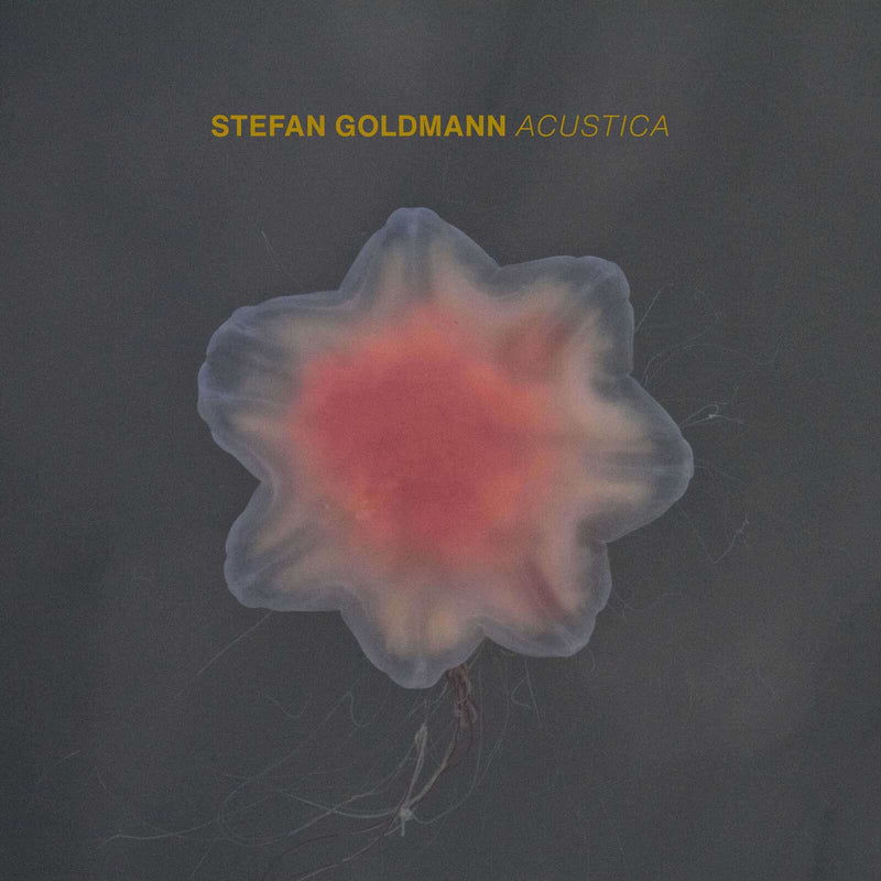 Stefan Goldmann - Acustica - MACROM74CD
