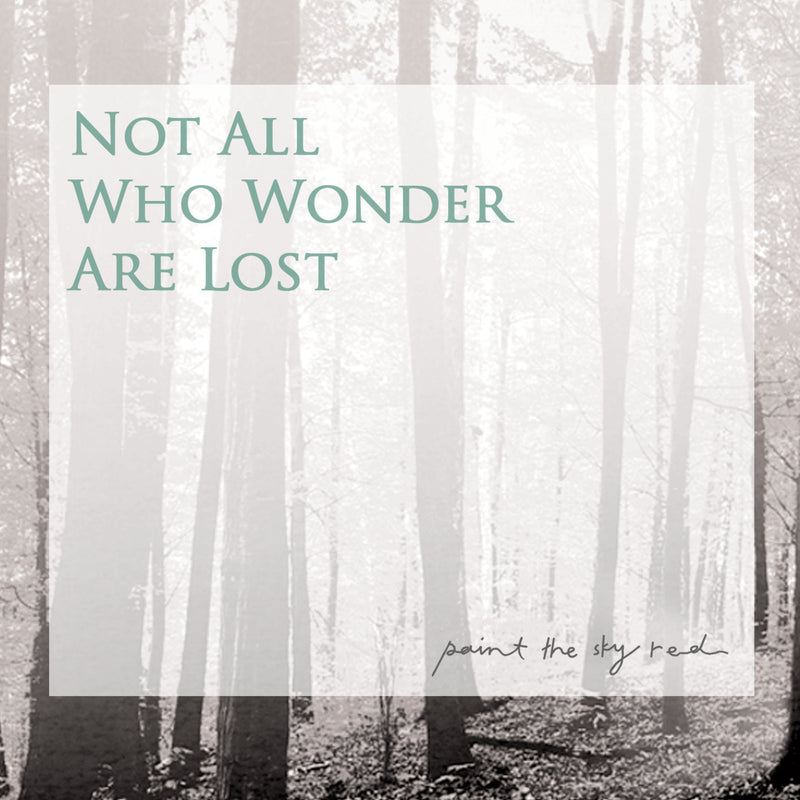 Paint The Sky Red - Not All Who Wonder Are Lost - CD31262