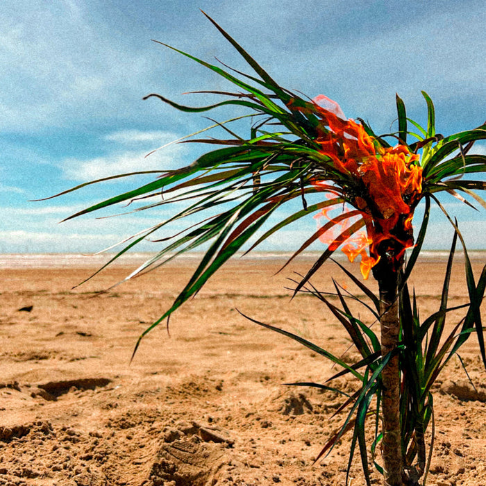 A Burial At Sea - A Burial At Sea (5-Year-Anniversary Edition) - LP31834