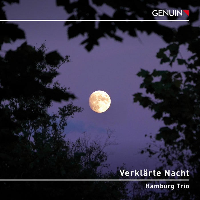 Hamburg Trio - Verklarte Nacht - GEN23812