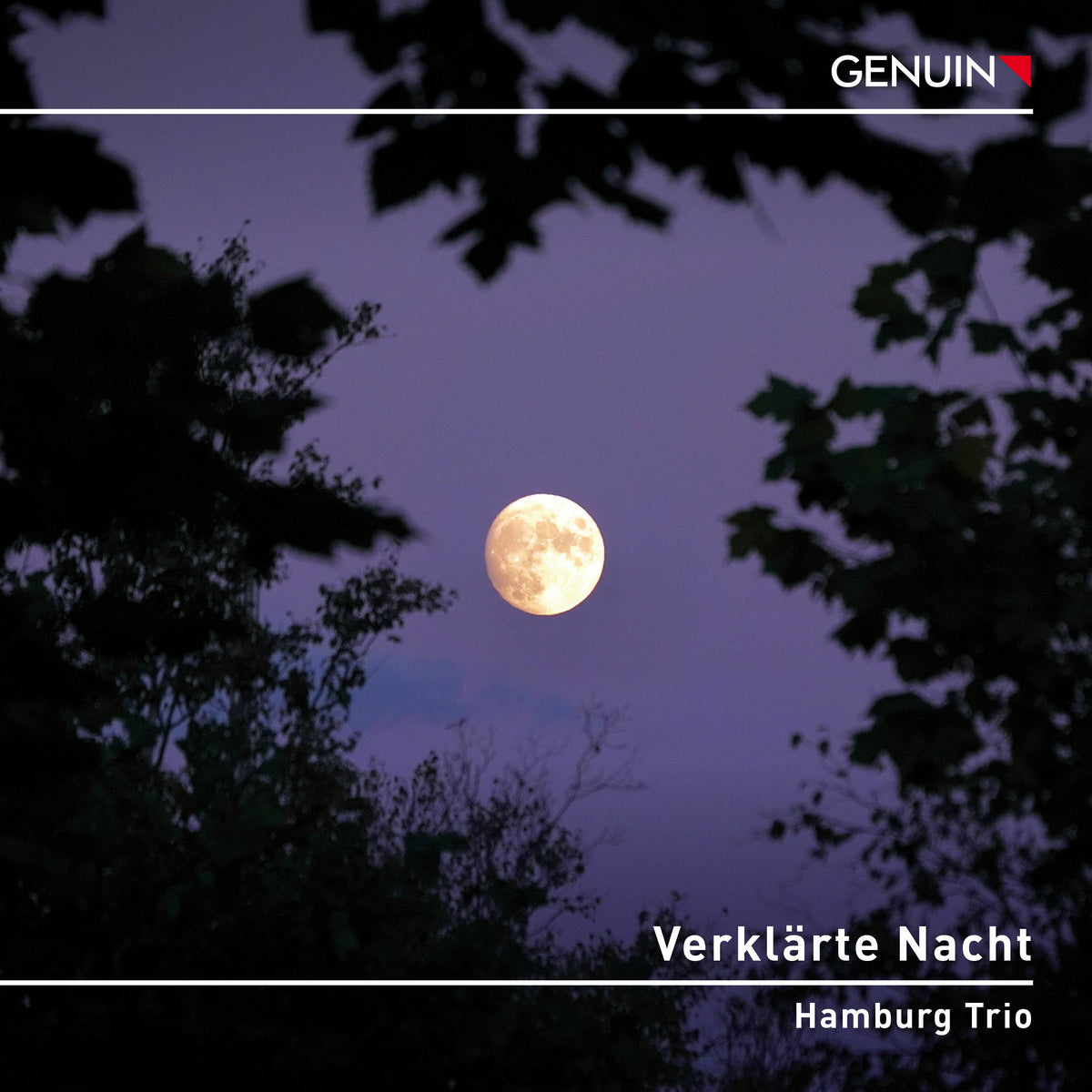 Hamburg Trio - Verklarte Nacht - GEN23812