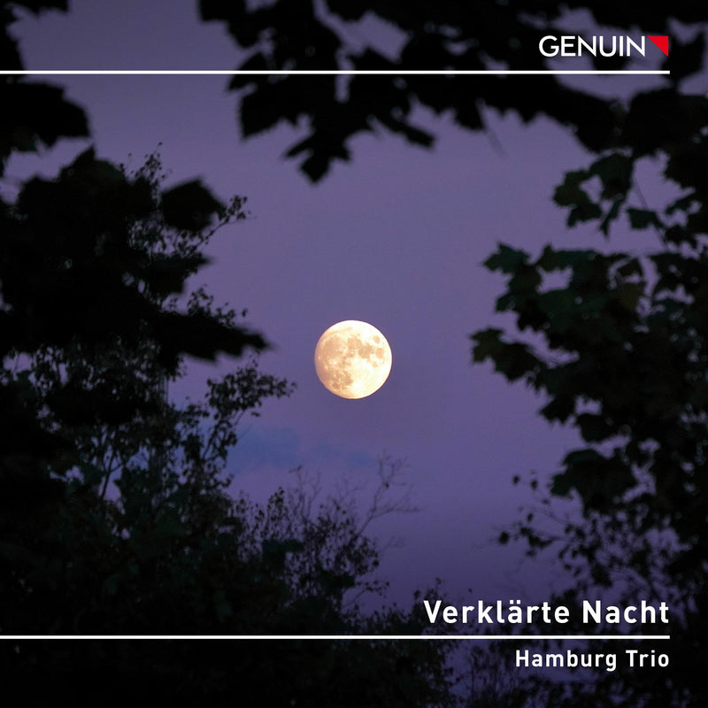Hamburg Trio - Verklarte Nacht - GEN23812