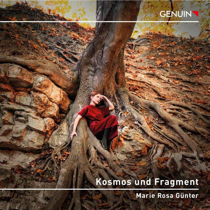 Marie Rosa Gunter - Kosmos und Fragment - GEN23833