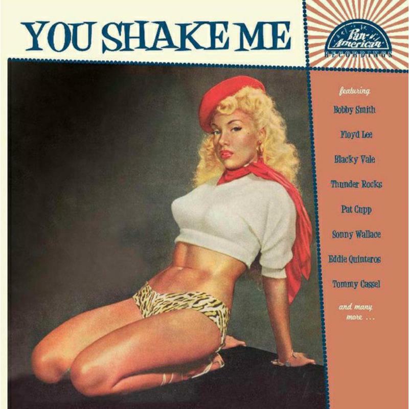 Various Artists - You Shake Me - CD21030