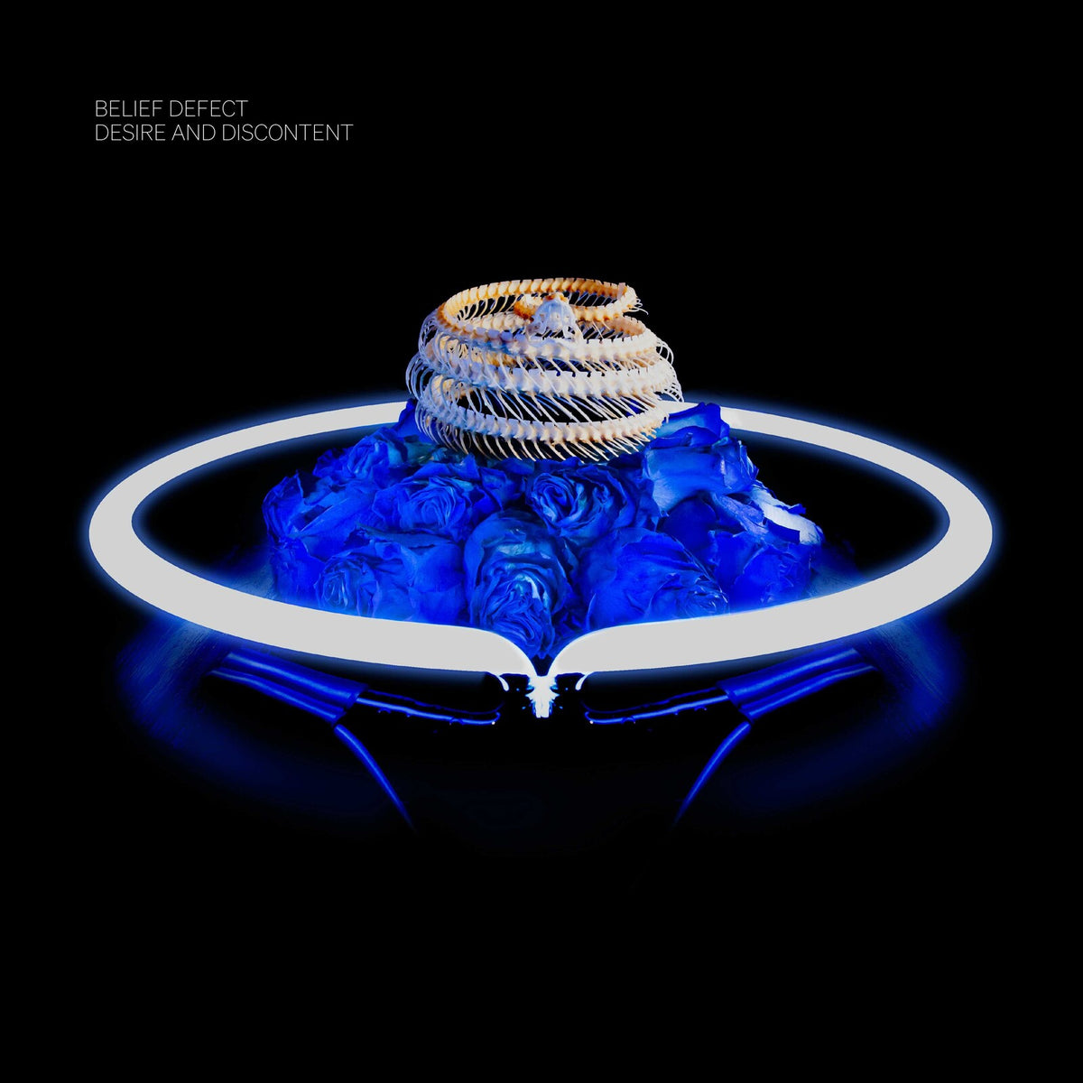 BELIEF DEFECT - DESIRE AND DISCONTENT - RM212