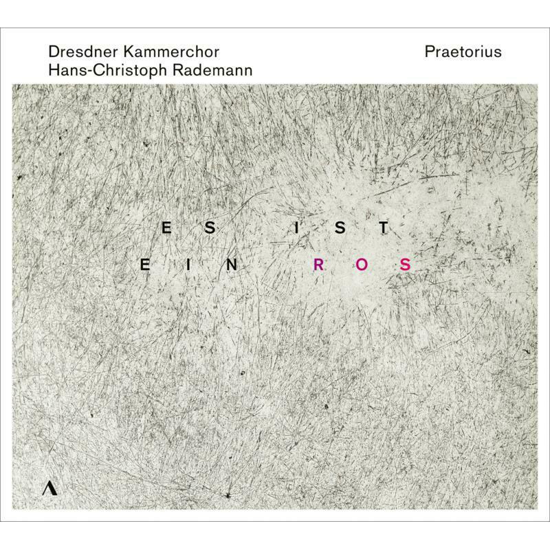 Dresdner Kammerchor/Rademann - Michael Praetorius: Es ist ein Ros - Music for Advent and Christmas - ACC30505
