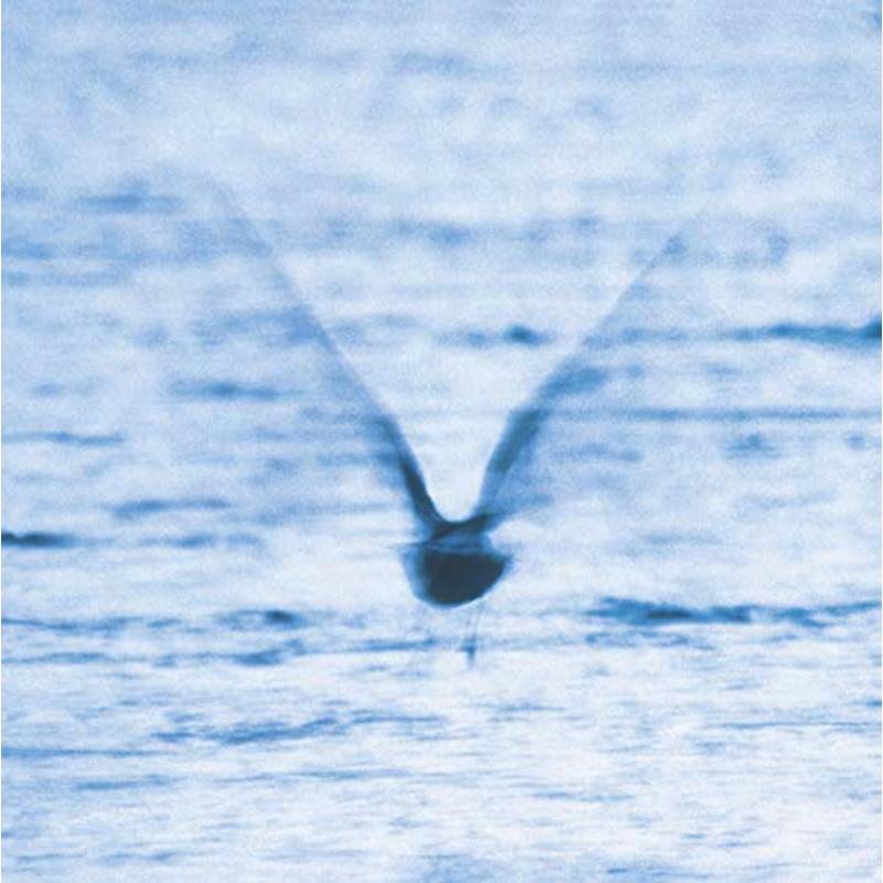 Ryo Fukui - Mellow Dream - WRJ002CD