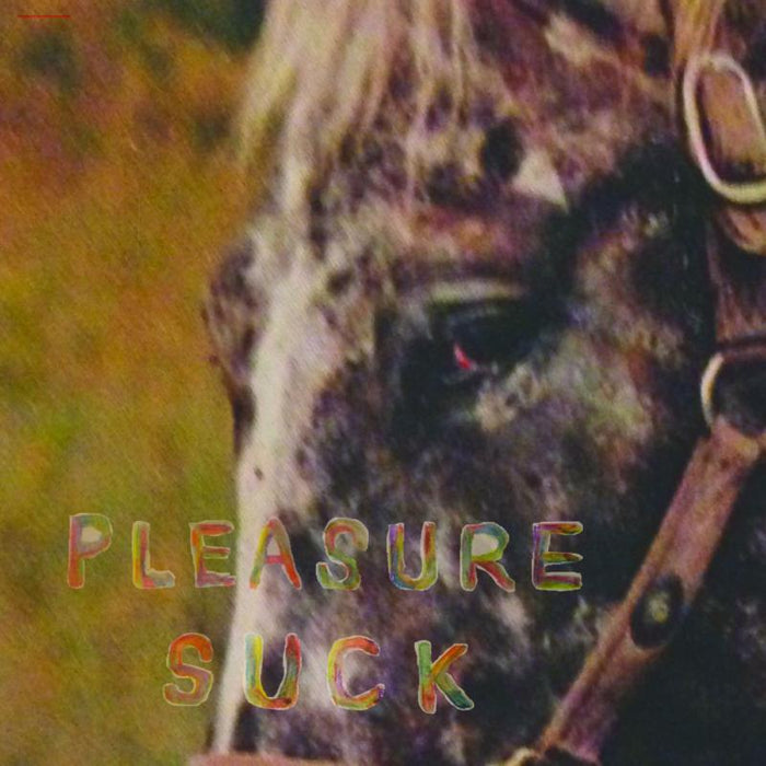 Spirit Of The Beehive Pleasure Suck LP