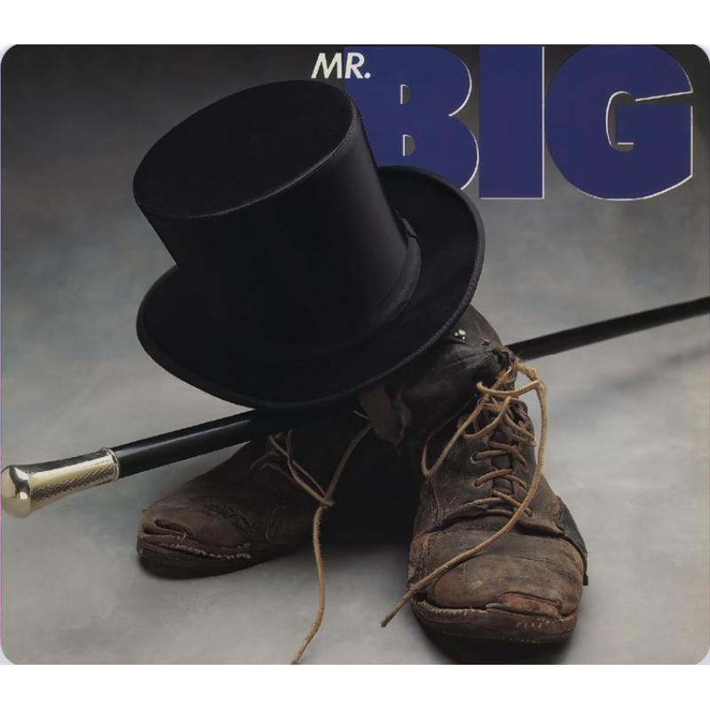 Mr. Big - Mr. Big - EVSA1771S