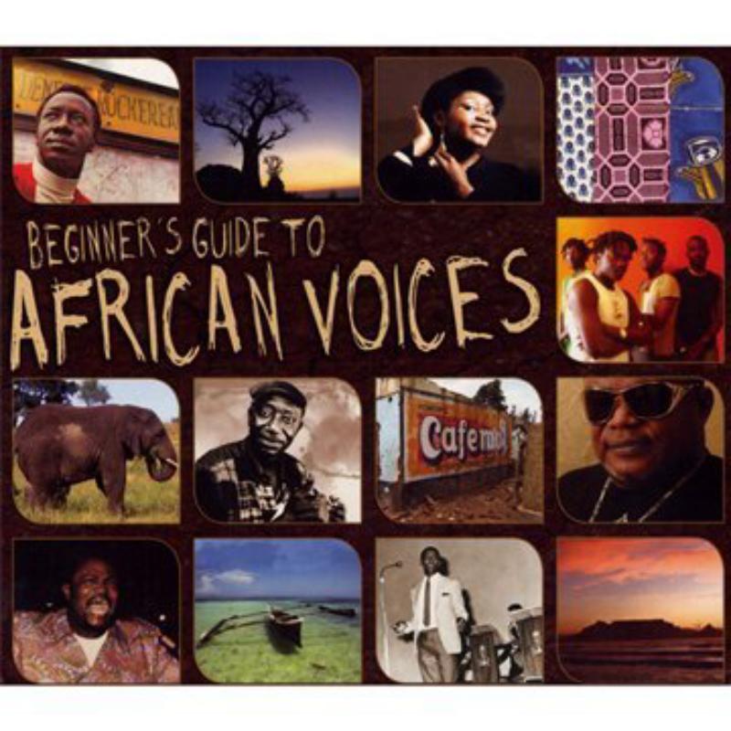Beginne's Guide To African Vo - Various - NSBOX064PMI