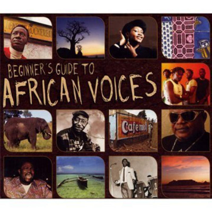 Beginne's Guide To African Vo - Various - NSBOX064PMI