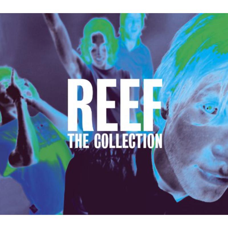 Reef - Collection - MCDLX201