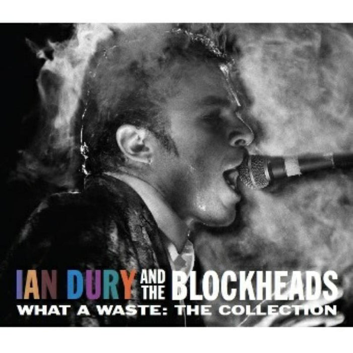 Ian & Blockheads Dury - What A Waste - MCDLX226PMI