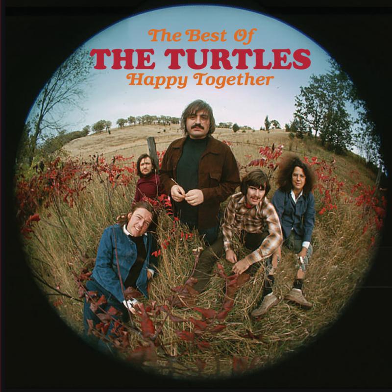 Turtles - Happy Together - Best Of - MCDLX232