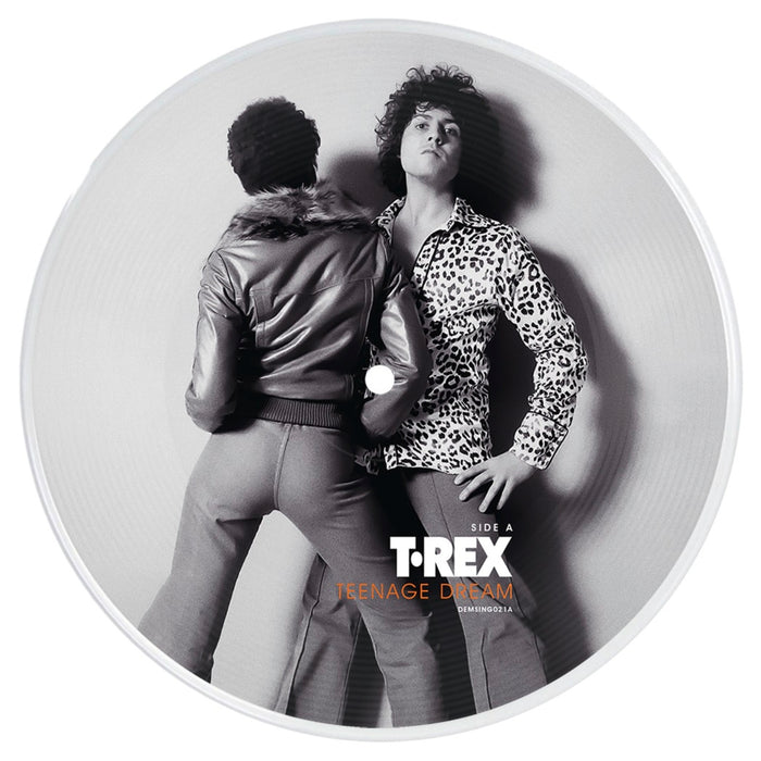 T. Rex - Teenage Dream (50th Anniversary) Picture Disc - DEMSING021