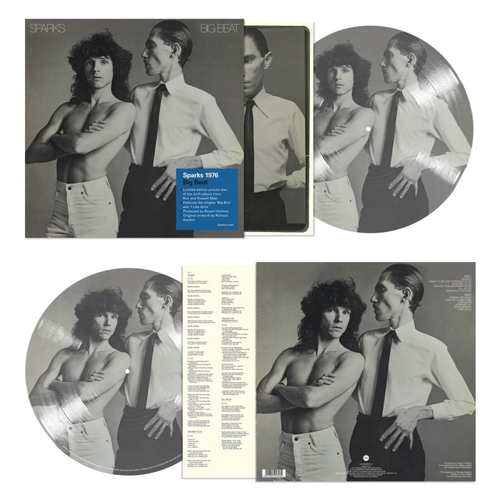 DEMREC1319PD - LP [DEMREC1319PD] - DEMREC1319PD