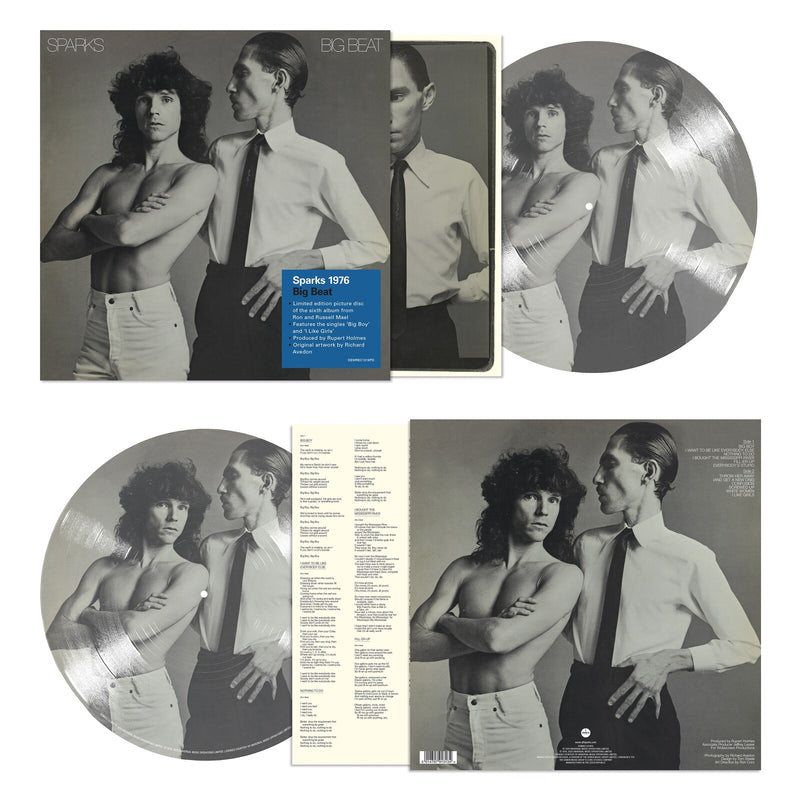 DEMREC1319PD - LP [DEMREC1319PD] - DEMREC1319PD
