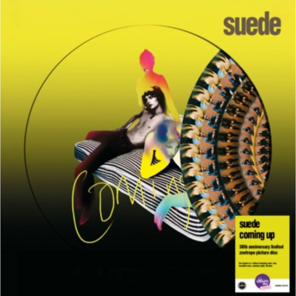 Suede - Coming Up (Zoetrope Picture Disc) - DEMREC1351PD