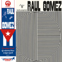 Raul Gomez - Raul Gomez - MRBLP291NB