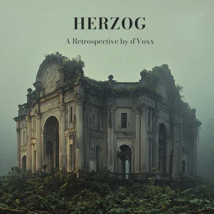 D'Voxx - HERZOG - A Retrospective - DIN95