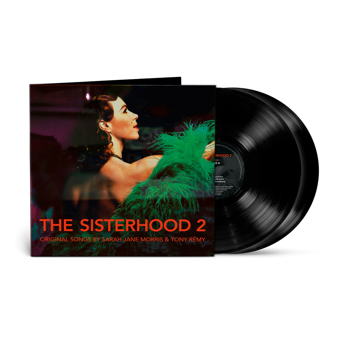 Sarah Jane Morris - The Sisterhood 2 - FALLEN023LP