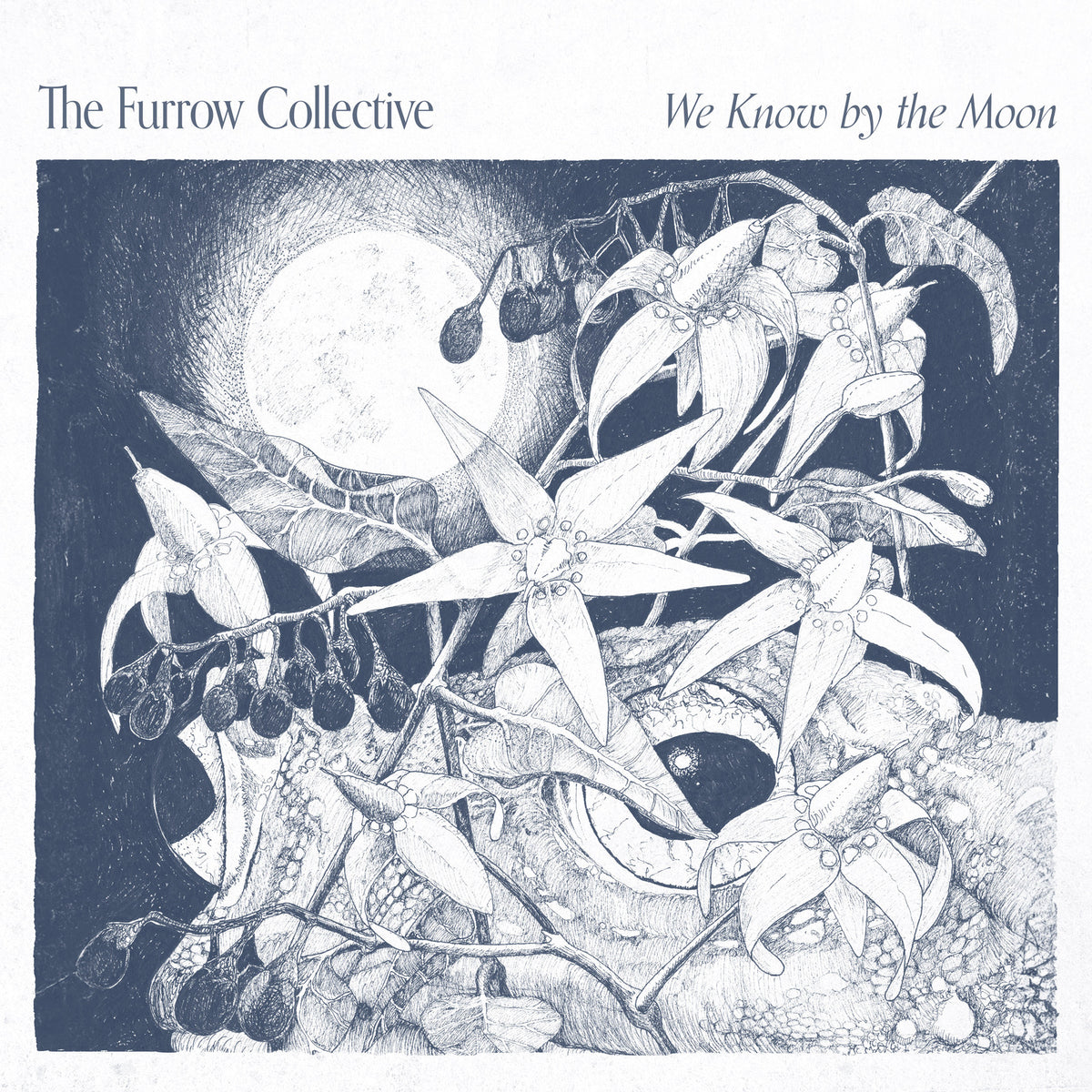 The Furrow Collective - We Know by the Moon - HUD044CD