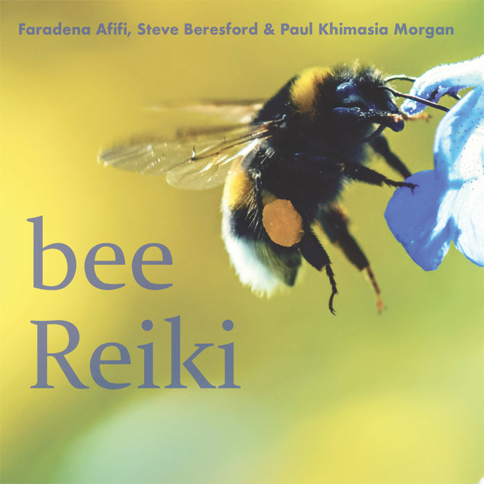 Faradena Afifi, Steve Beresford & Paul Khimasia Morgan - Bee Reiki - DISCUS173CD