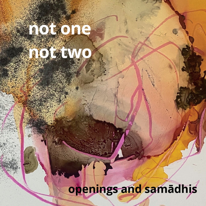 Not One Not Two - Openings and Samadhis - DISCUS204CD