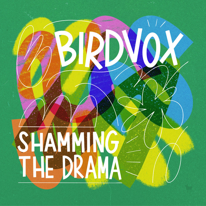 Birdvox - Shamming The Drama - HUD063LP