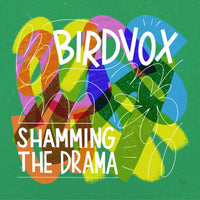 Birdvox - Shamming The Drama - HUD063LPX