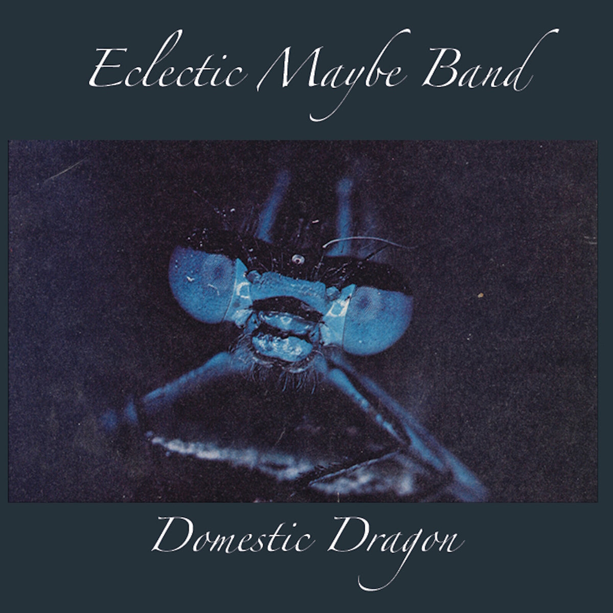 ECLECTIC MAYBE BAND - DOMESTIC DRAGON - DISCUS214CD