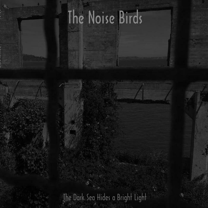 The Noise Birds - Th Dark Sea Hides A Bright Li - REPOSELP089